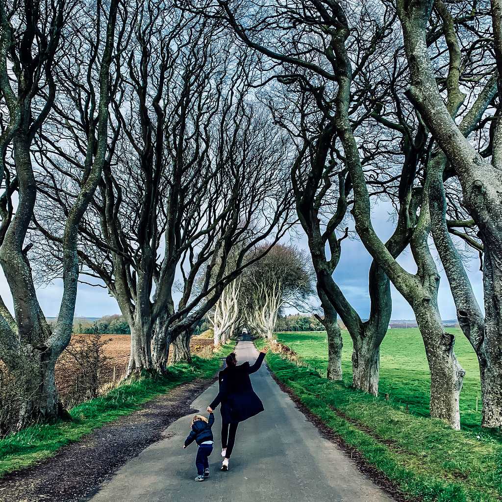 Dark Hedges: step into the world of Game of Thrones (near Armoy, County Antrim)