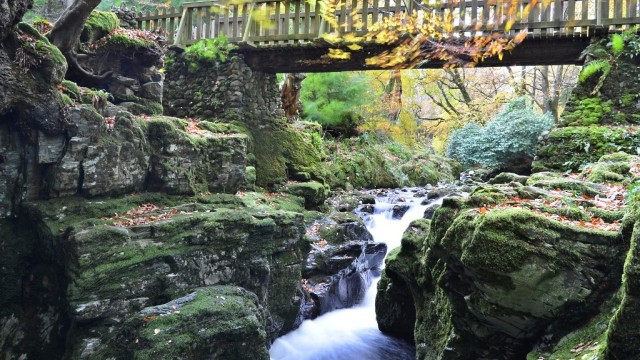 Tollymore Forest