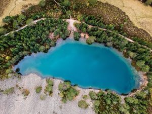 View from above: water and forest
