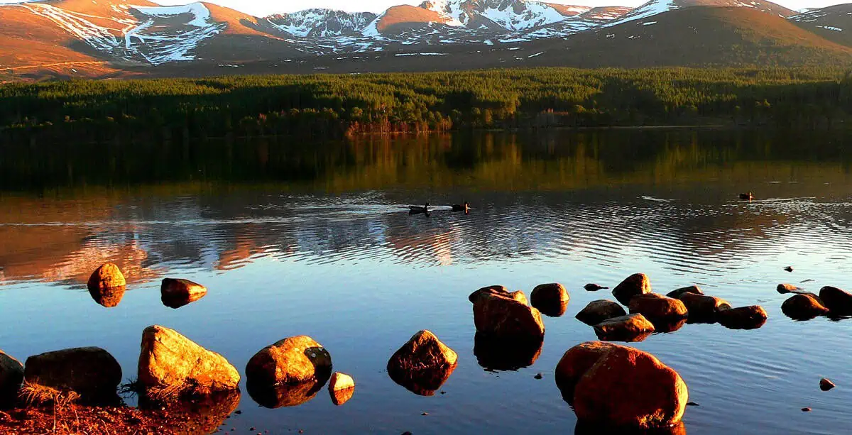 Loch Morlich in The Cairngorms